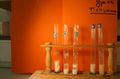 gal/LES_CINQUIEMES/ACTIVITE DIGESTION IN VITRO/Groupe_04/Groupe04_T_01h20min/_thb_Groupe04_T_01h_20min_2.JPG